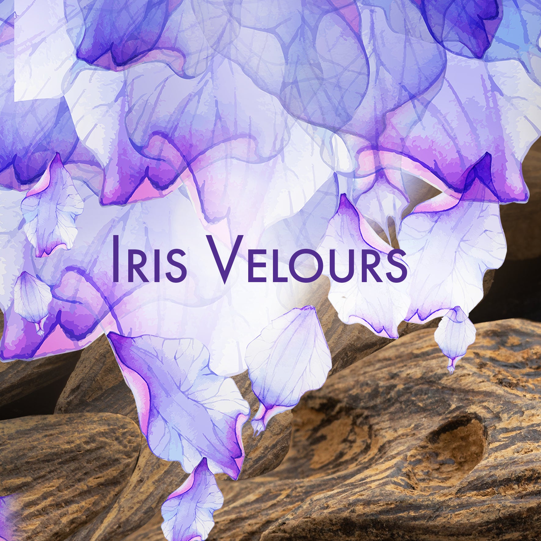 Fond de bois et pétales