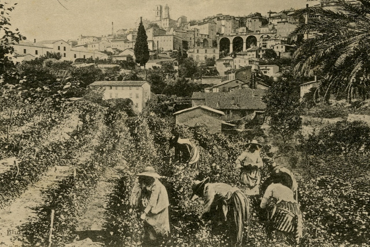 The art of grasse perfumes, an olfactory heritage