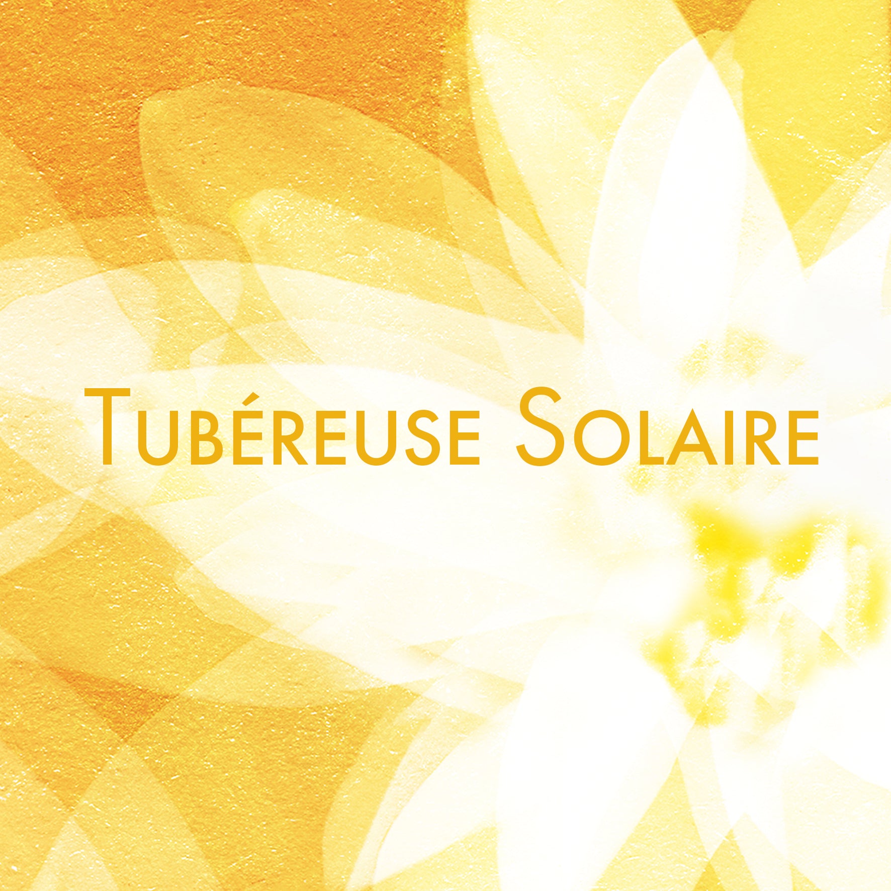 Fond solaire