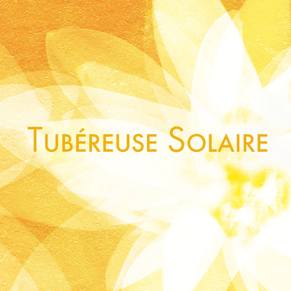 Fond solaire